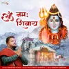 About Om Namah Shivay Song